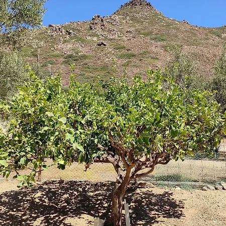 Сasa de vacaciones Deja Dream Homes