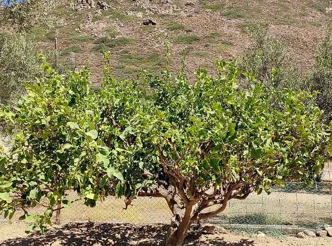 Prázdninový dům Deja Dream Homes